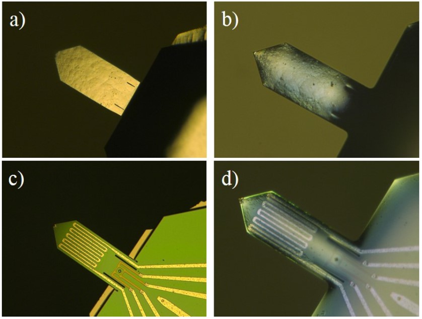 Lights Out! Nano-Scale Topography Imaging of Sample Surface in Opaque Liquid Environments with Coated Active Cantilever Probes