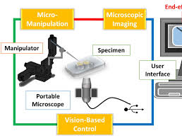 Automatic Vision-Guided Micromanipulation for Versatile Deployment and Portable Setup