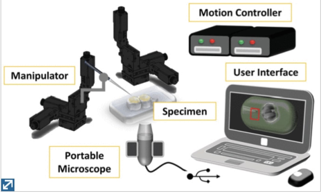 Confidence-Based Hybrid Tracking to Overcome Visual Tracking Failures in Calibration-Less Vision-Guided Micromanipulation